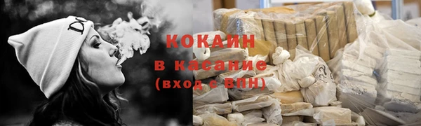 твердый Арсеньев