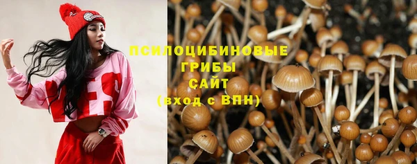 ALPHA-PVP Армянск