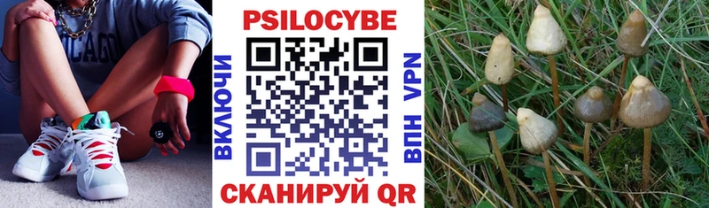 Псилоцибиновые грибы ЛСД  Феодосия 